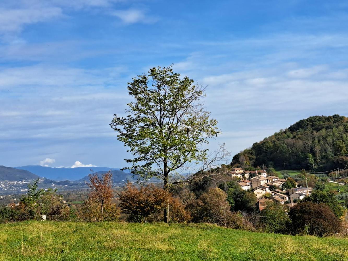 Agriturismo Riva Beata Cavaso Del Tomba Exterior photo